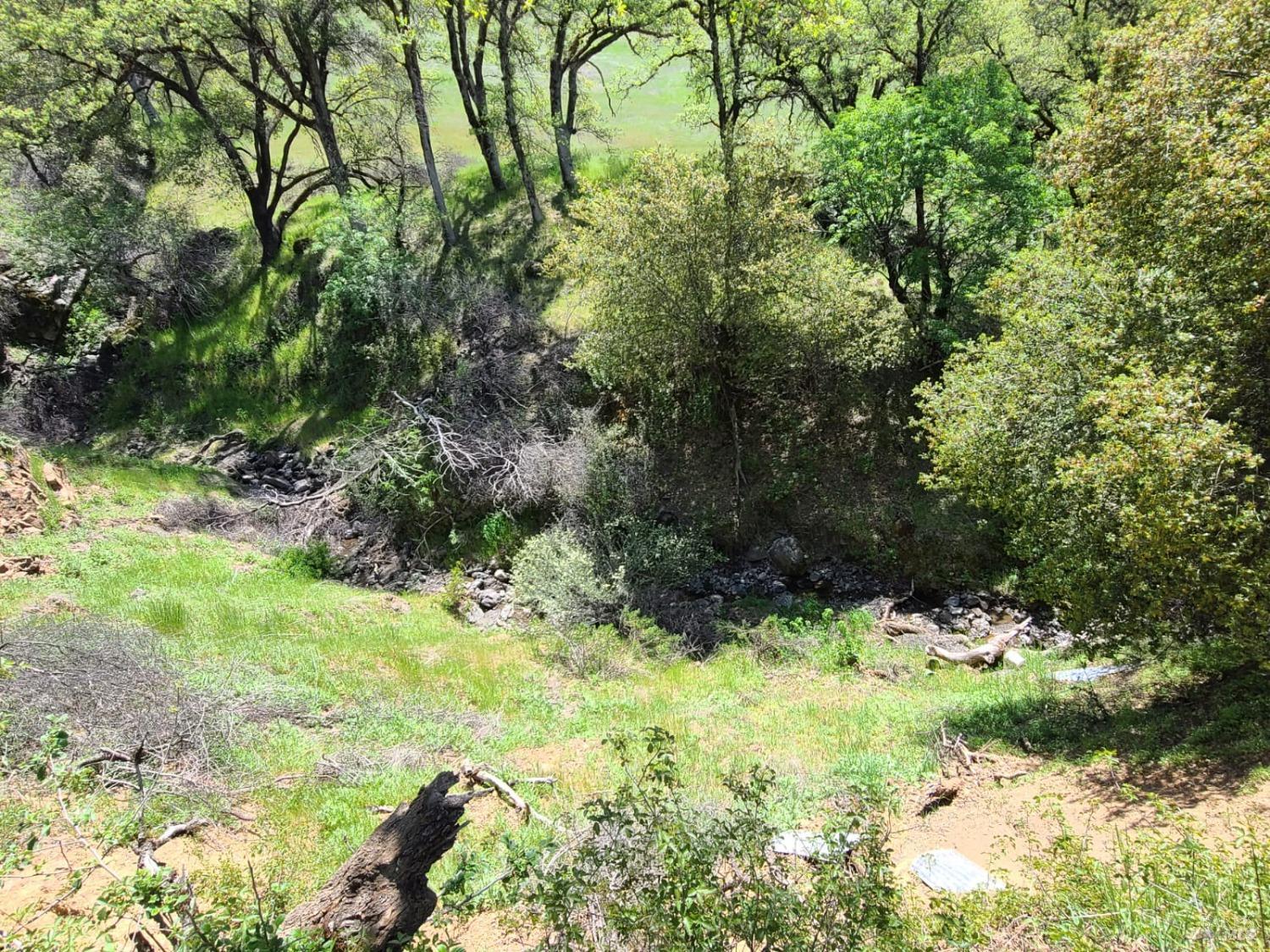 35776 Mendocino Pass Road Covelo, CA 95428 - Photo 31 of 33 a view of a yard with plants and large trees