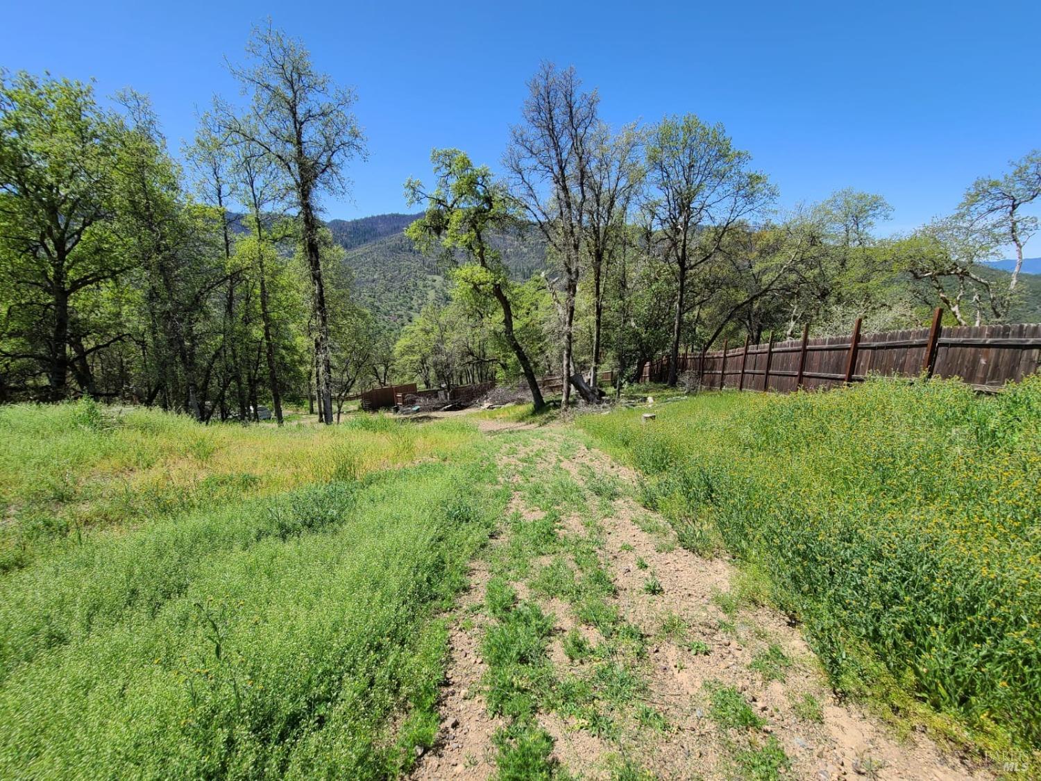 35776 Mendocino Pass Road Covelo, CA 95428 - Photo 33 of 33 a view of backyard with green space