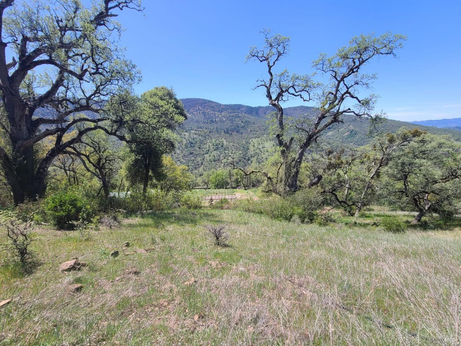 35776 Mendocino Pass Road Covelo, CA 95428 - Photo 7 of 33 a view of a yard with a tree