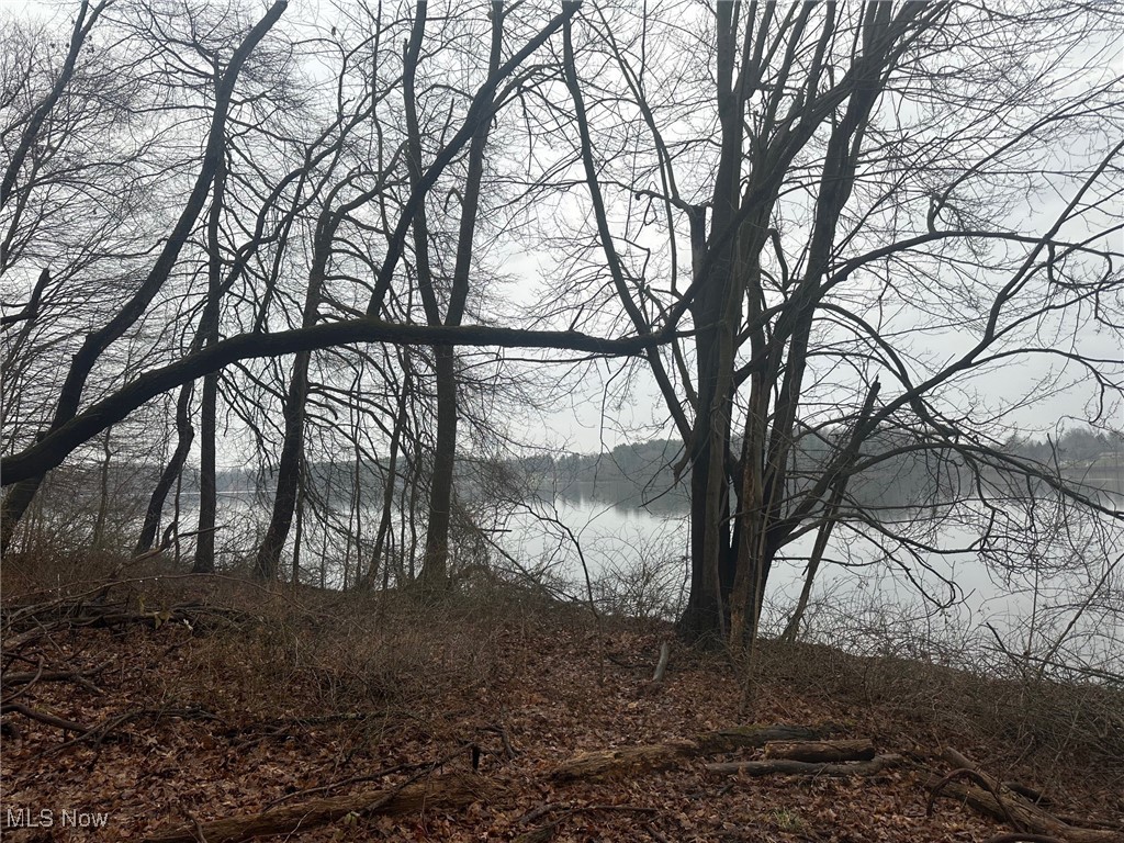 Rootstown Road Ravenna, OH 44266 - Photo 26 of 26 Water view