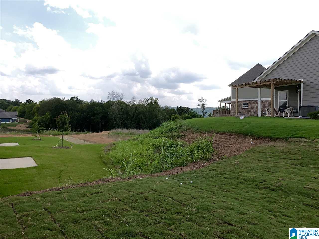 1146 Camellia Ridge Drive Pelham, AL 35124 - Photo 6 of 39