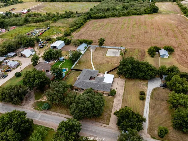 a view of a tree in a yard
