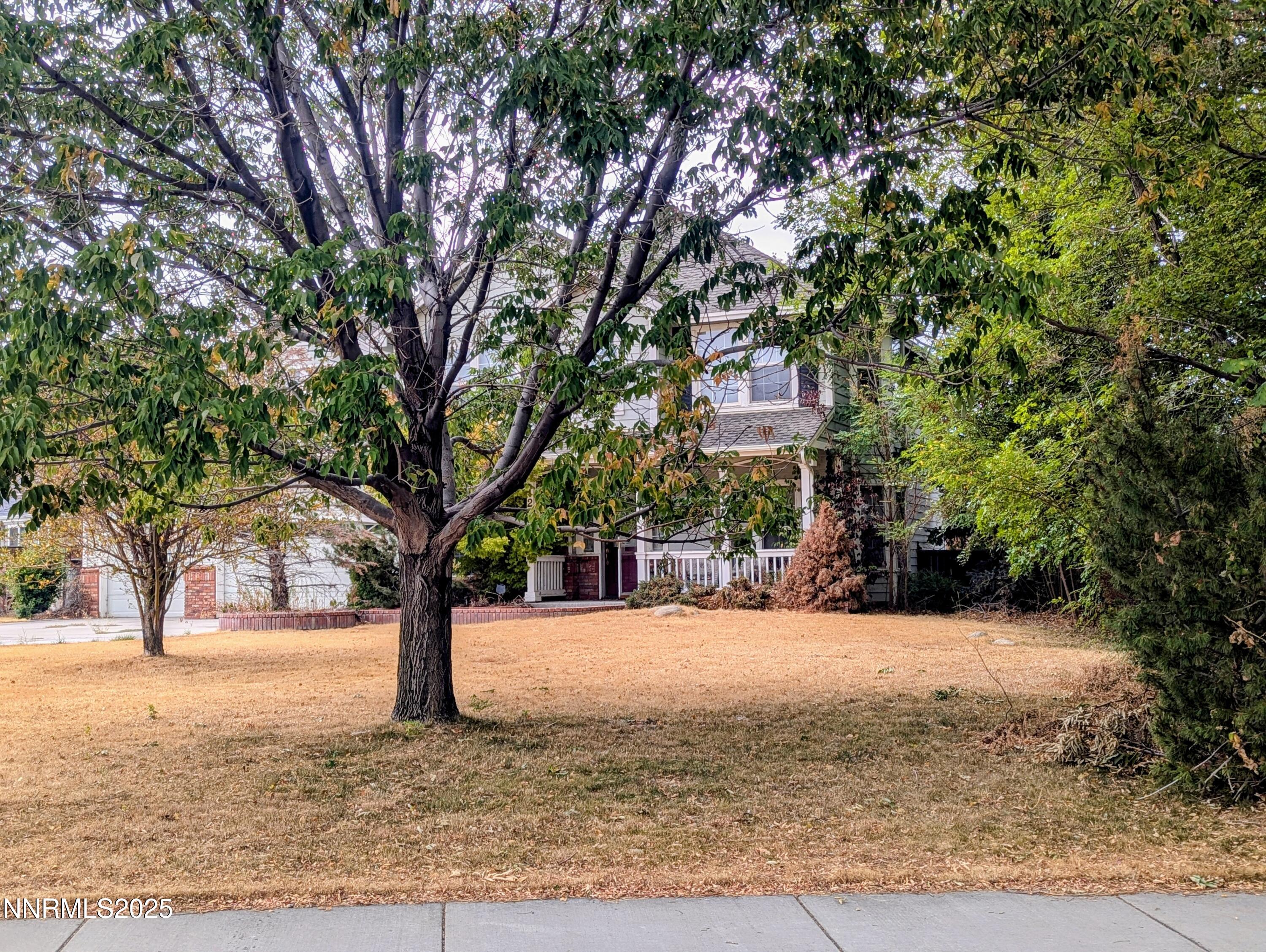 1248 Pleasantview Drive Gardnerville, NV 89460 - Photo 3 of 5 a tree in the middle of a yard