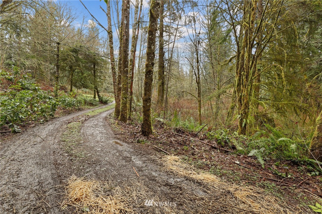 3122 Lily Lake Road Bow, WA 98232 - Photo 34 of 35 Gallery Image 34