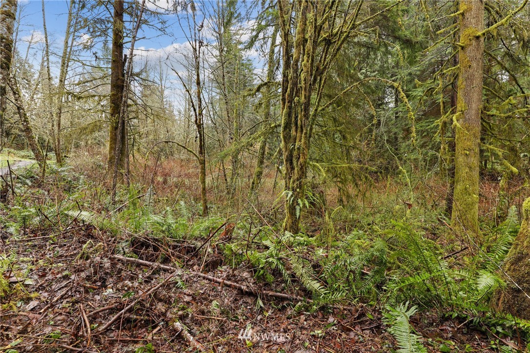 3122 Lily Lake Road Bow, WA 98232 - Photo 35 of 35 Gallery Image 35