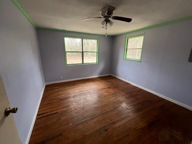 2025 Settlement Road Dozier, AL 36028 - Photo 7 of 20 Gallery Image 7