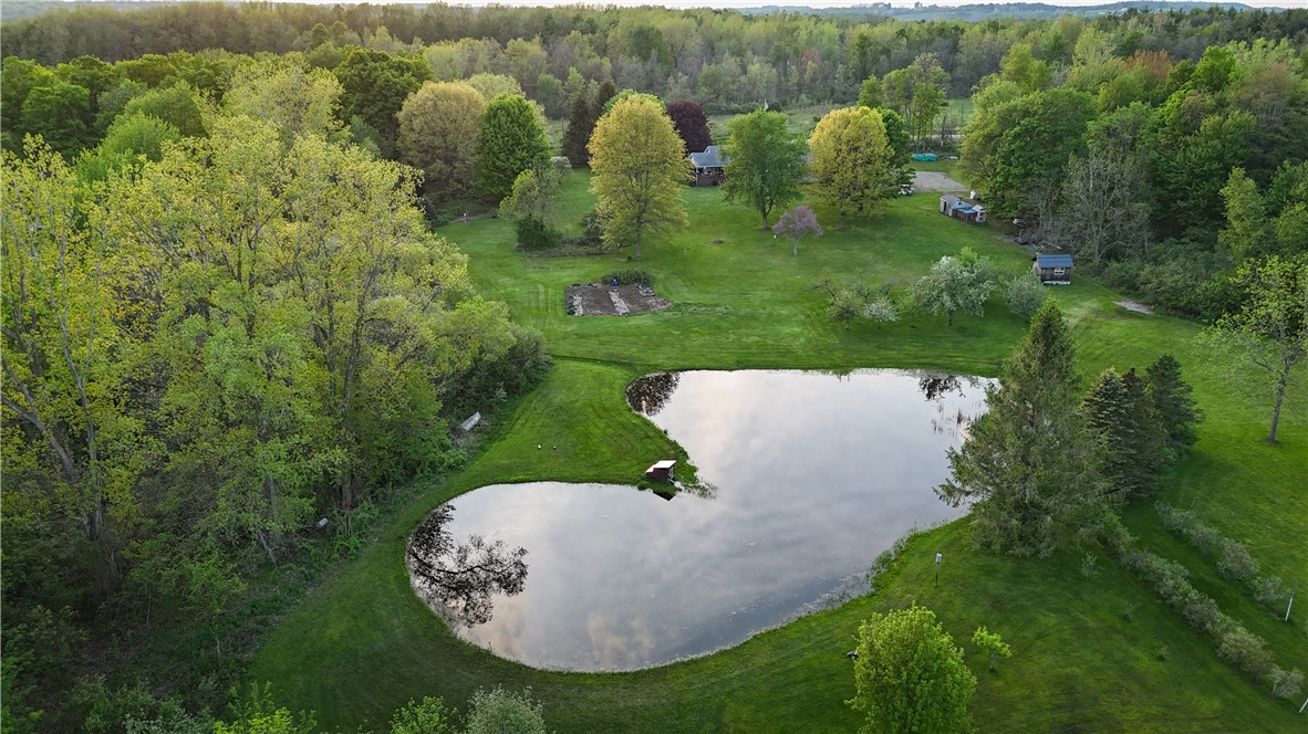 7488 Eades Road Red Creek, NY 13143 - Photo 26 of 50