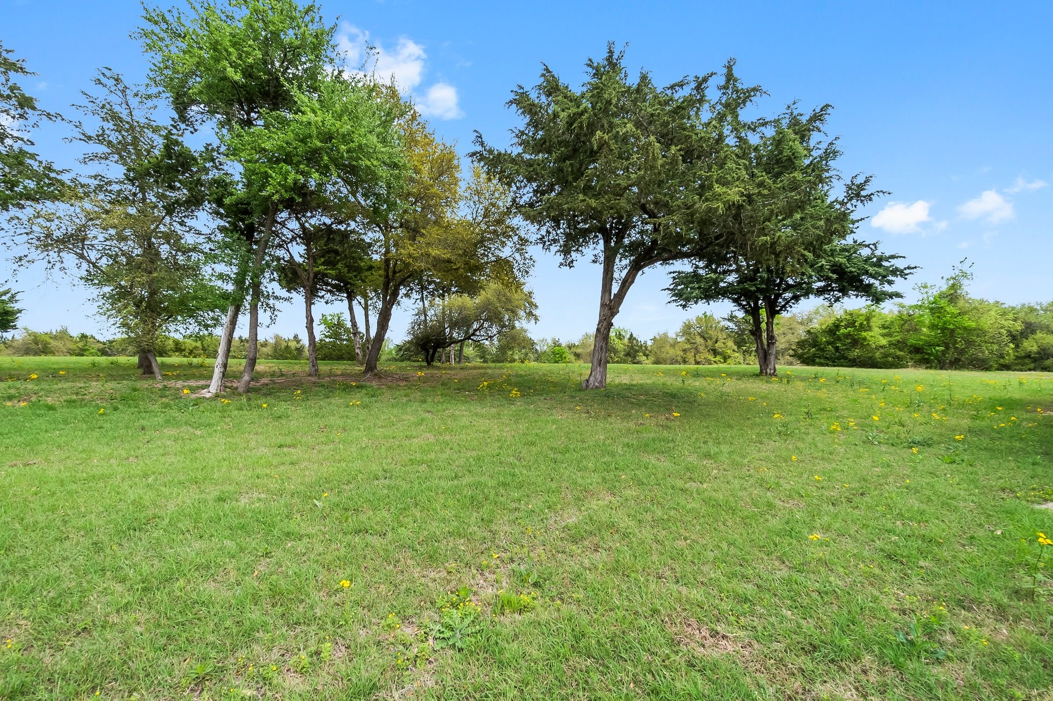 2982 FM 2935 Road North Brenham, TX 77833 - Photo 5 of 49