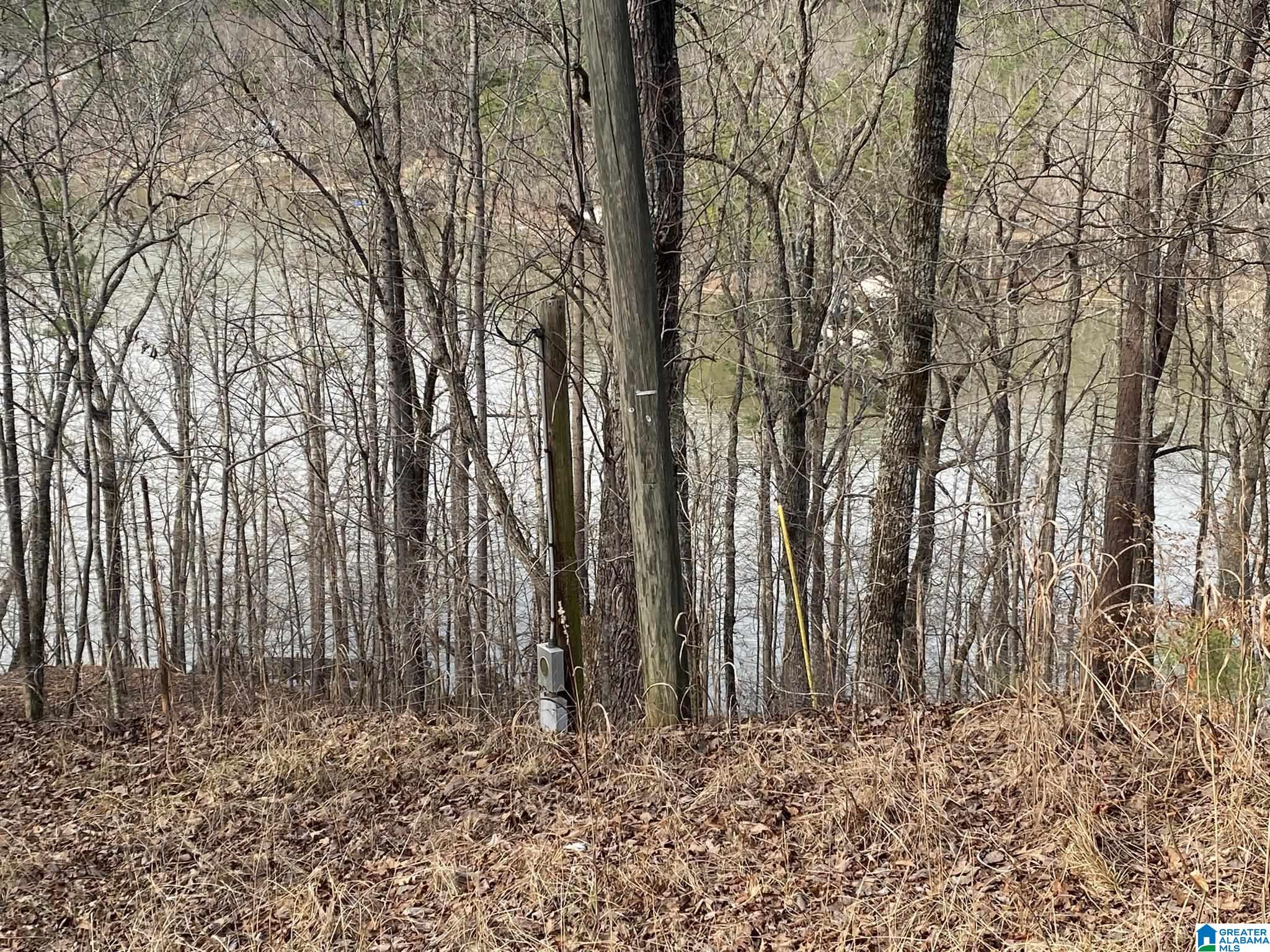 Mohawk Cliff Road, Unit 5 Ohatchee, AL 36271 - Photo 6 of 14