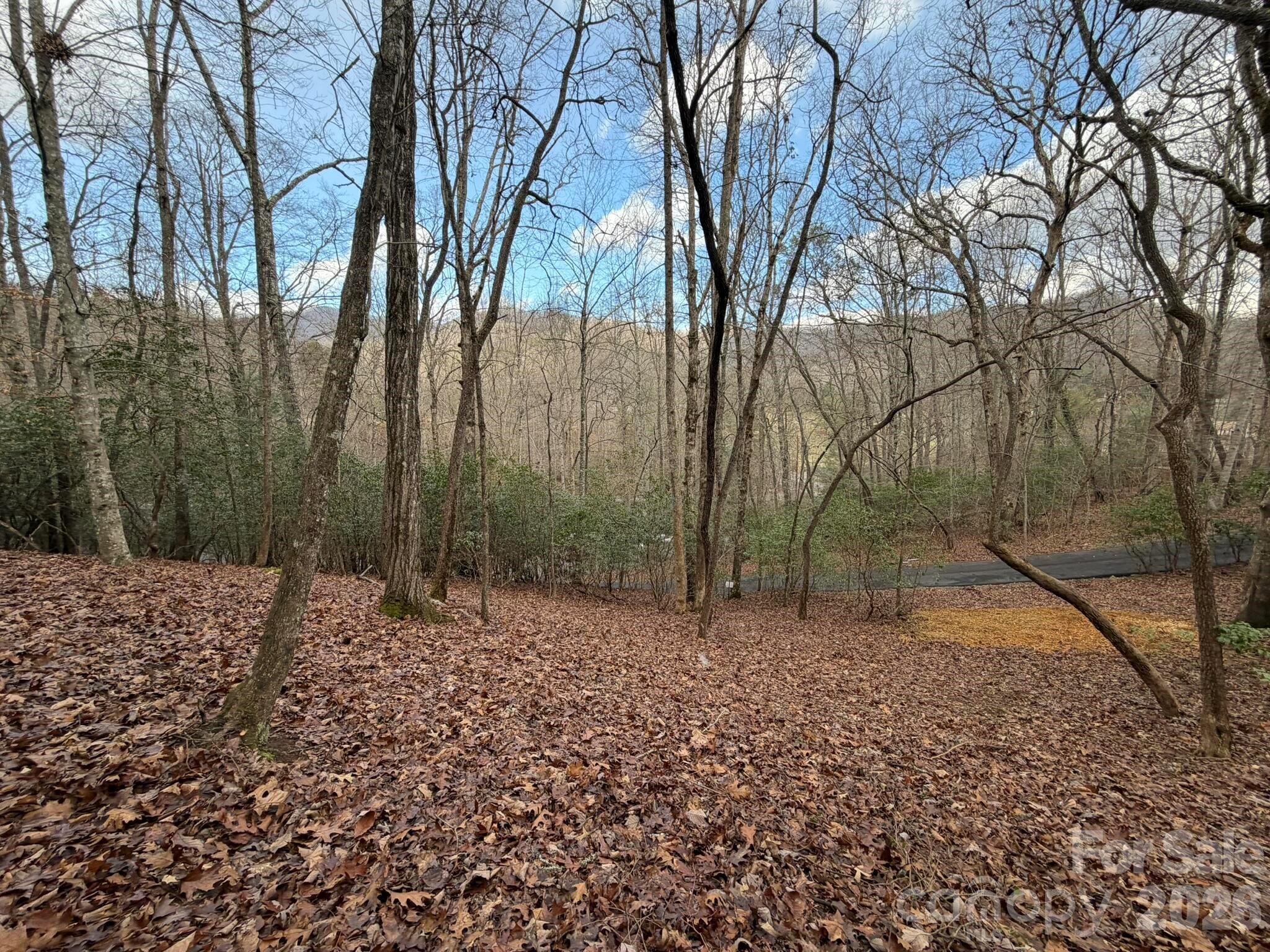 0 Crescent Ridge Drive Franklin, NC 28734 - Photo 1 of 8