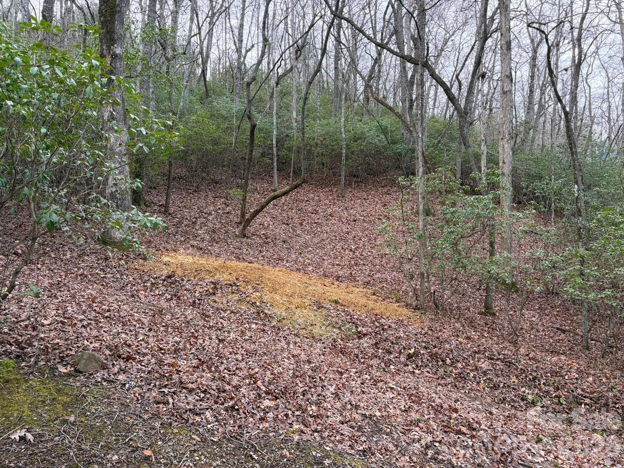 0 Crescent Ridge Drive Franklin, NC 28734 - Photo 5 of 8