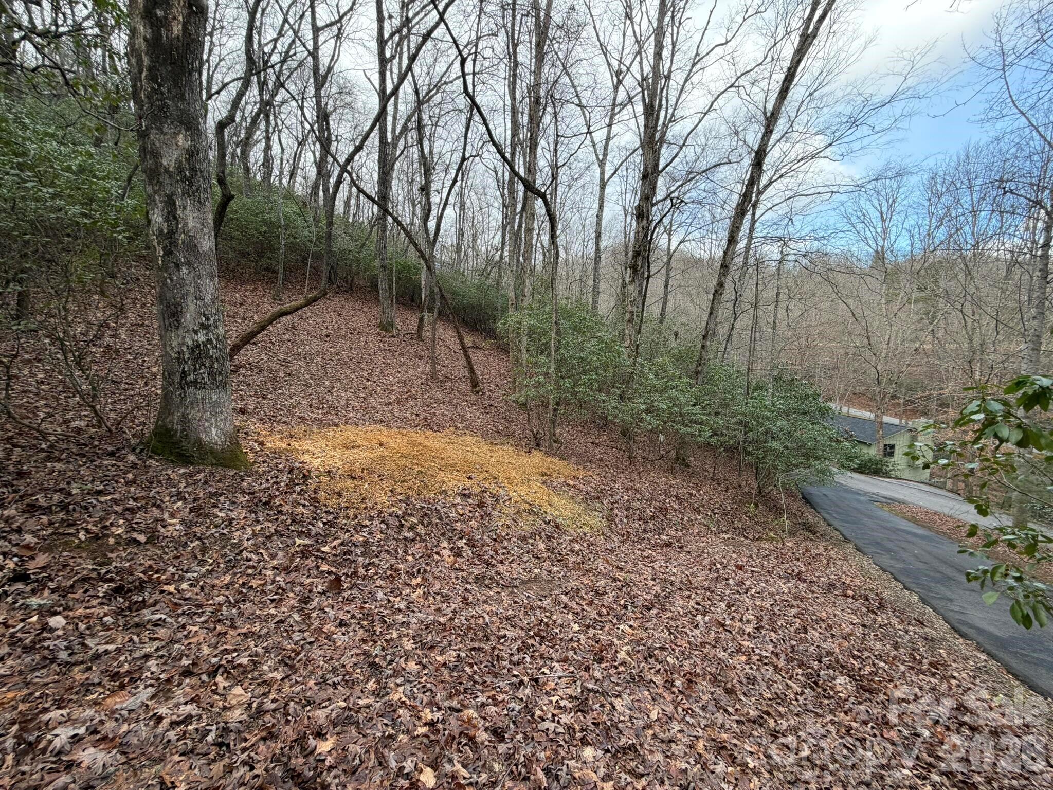 0 Crescent Ridge Drive Franklin, NC 28734 - Photo 6 of 8