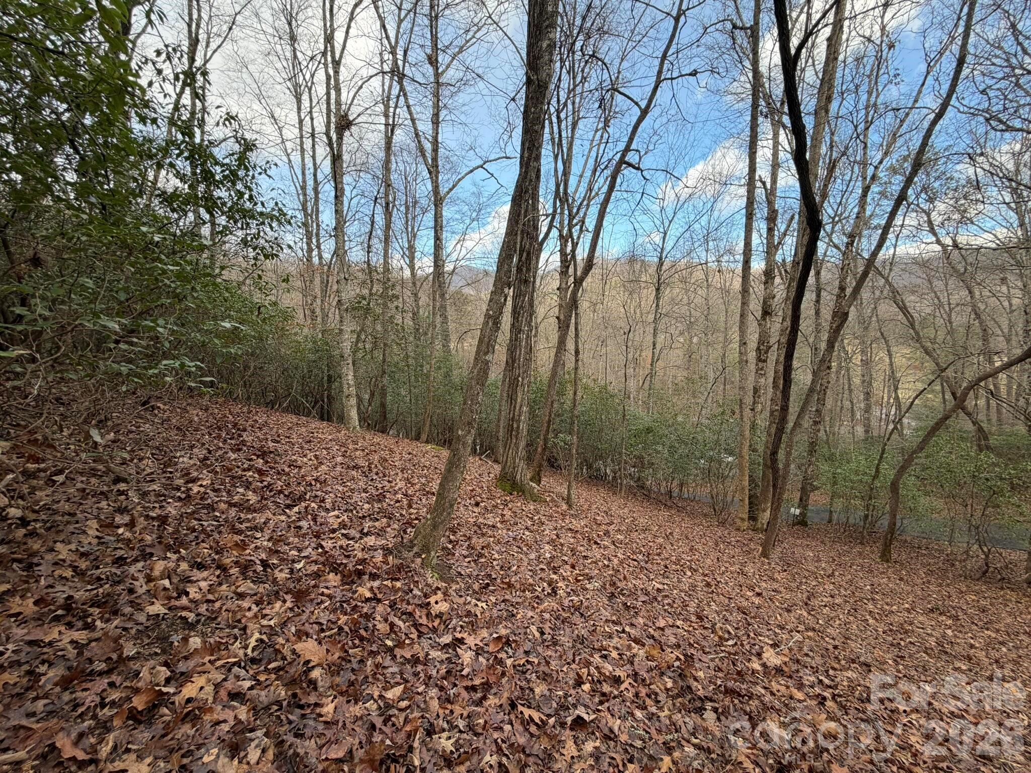 0 Crescent Ridge Drive Franklin, NC 28734 - Photo 8 of 8