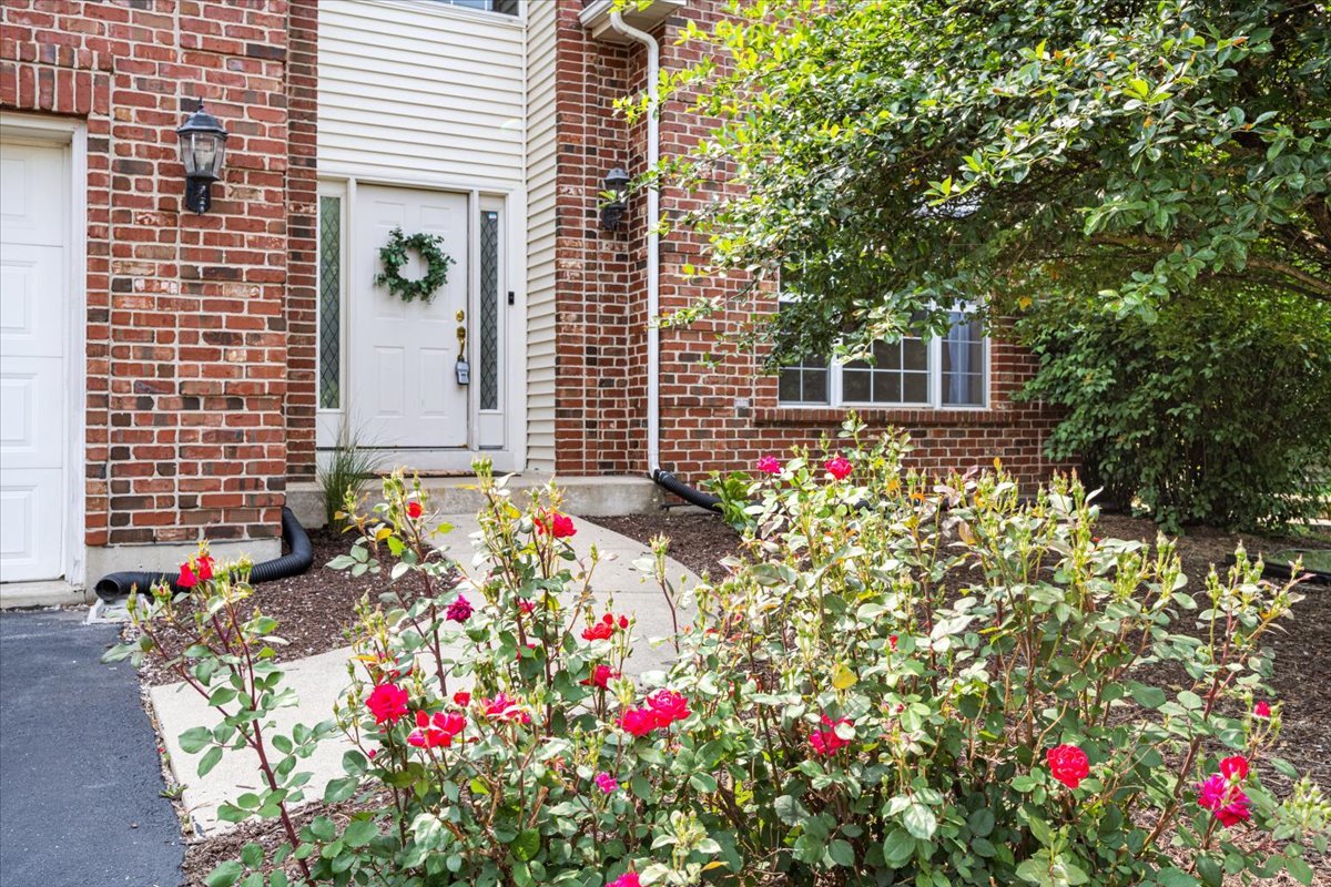 1112 Stonehaven Circle Aurora, IL 60504 - Photo 2 of 28 a flower plants sitting in front of a house