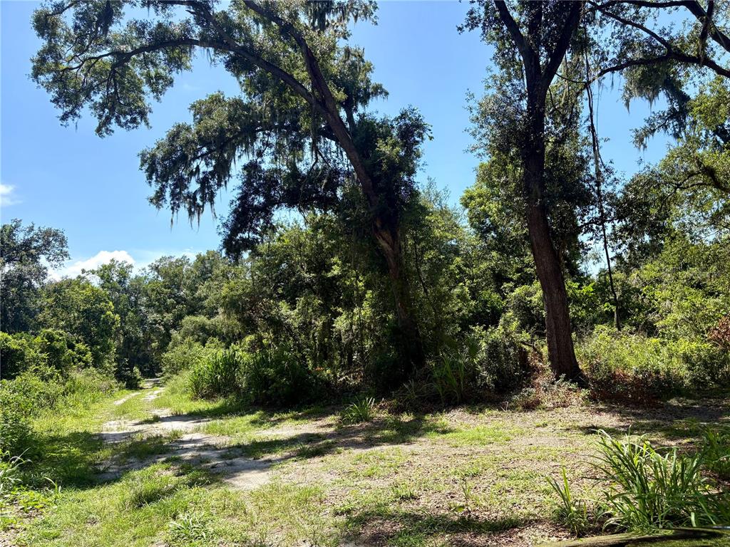 Sydney Washer Road Dover, FL 33527 - Photo 1 of 2