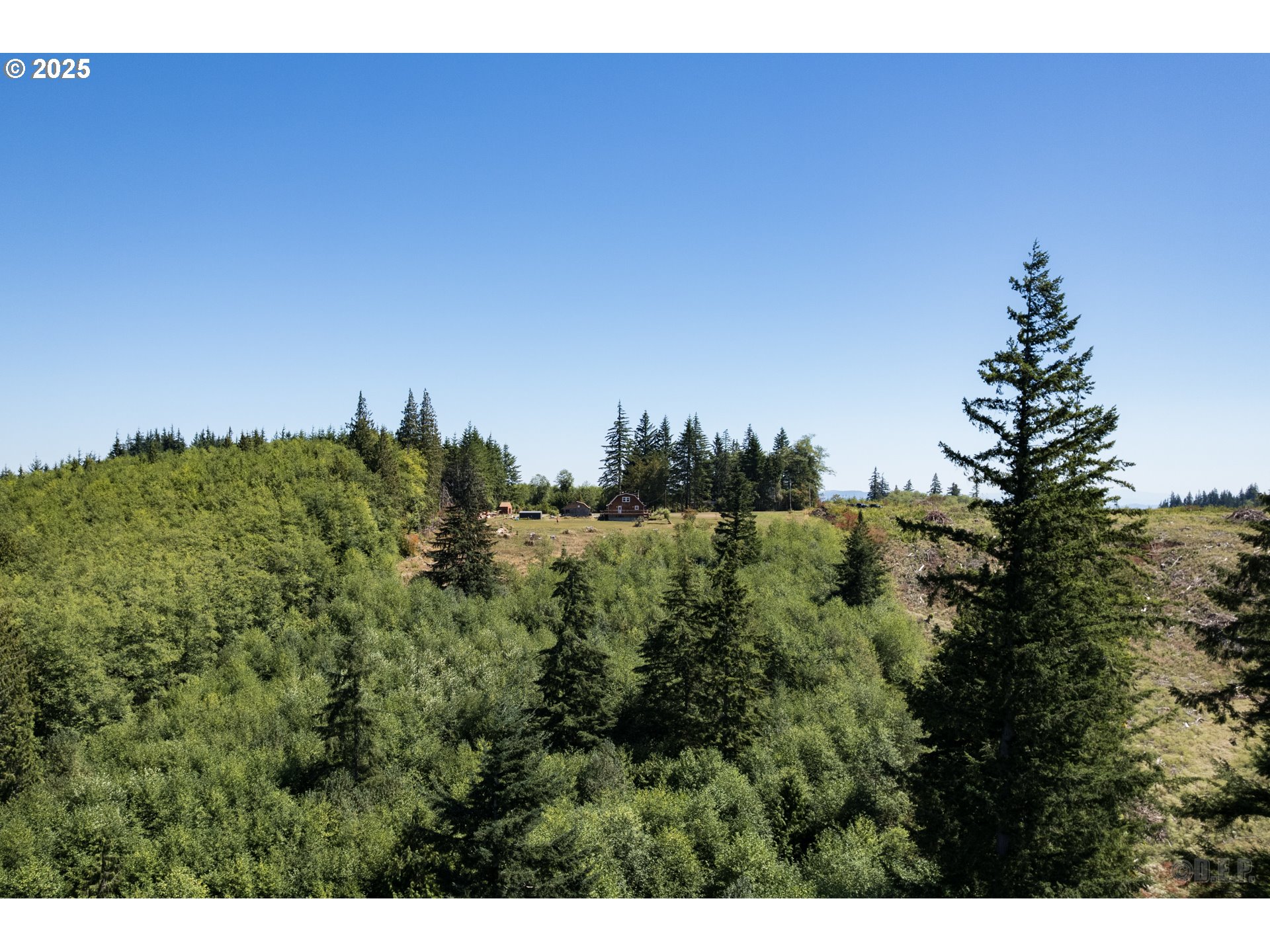 70392 Schumacher Road Rainier, OR 97048 - Photo 31 of 42 a view of a city with lush green forest