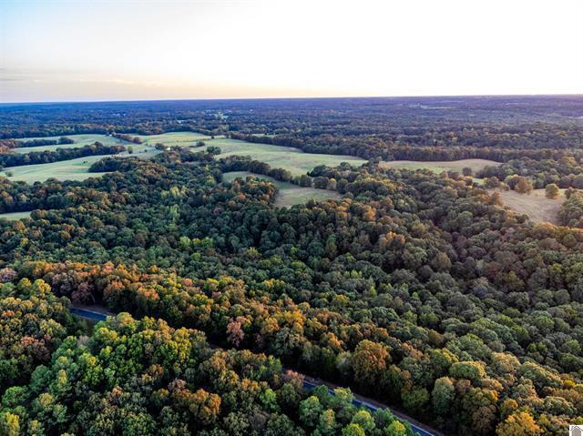 Lot 80 Waterfowl Road Murray, KY 42071 - Photo 4 of 21 20260711020600863918000000-o