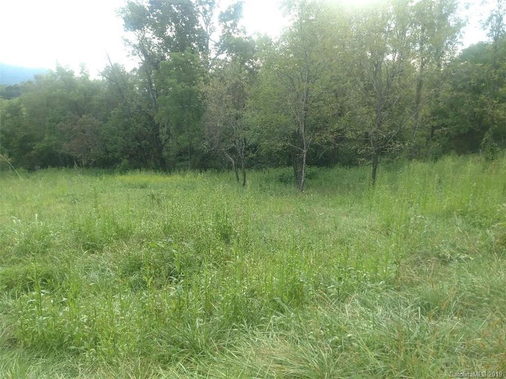 0 Wrightsville Road, Unit 2 Clyde, NC 28721 - Photo 3 of 6