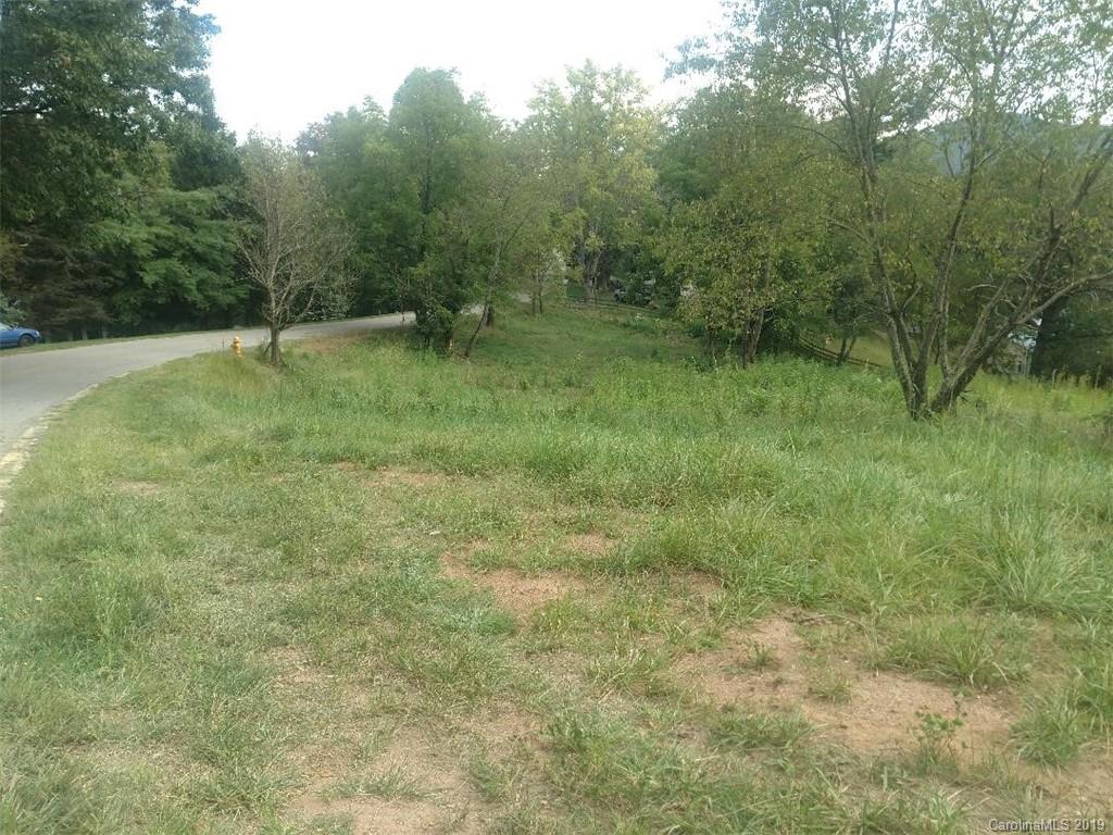0 Wrightsville Road, Unit 2 Clyde, NC 28721 - Photo 6 of 6