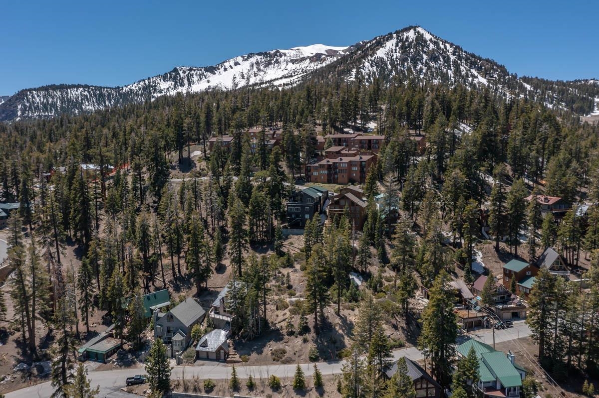 307 John Muir Road Mammoth Lakes, CA 93546 - Photo 1 of 15
