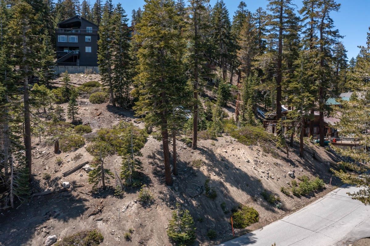 307 John Muir Road Mammoth Lakes, CA 93546 - Photo 3 of 15