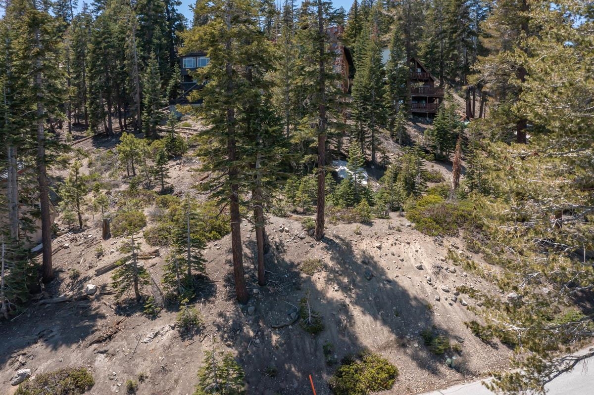 307 John Muir Road Mammoth Lakes, CA 93546 - Photo 5 of 15
