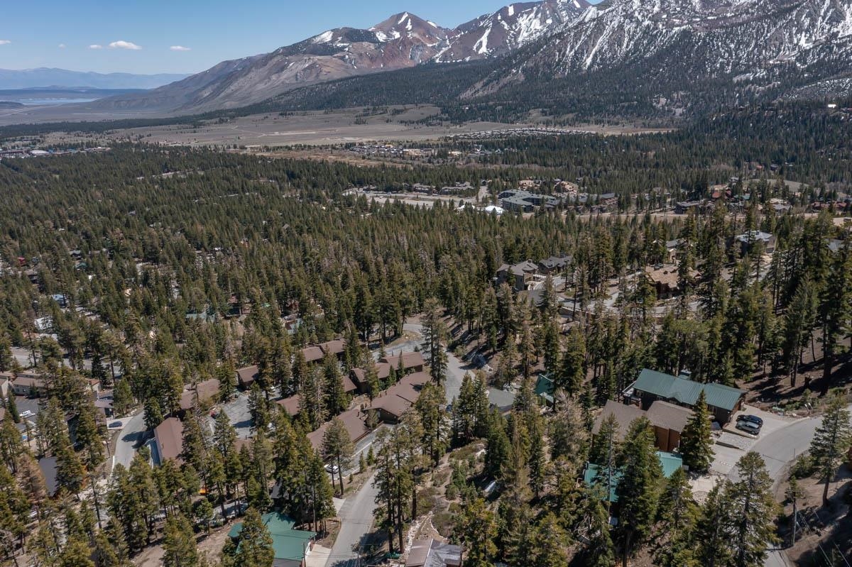 307 John Muir Road Mammoth Lakes, CA 93546 - Photo 9 of 15