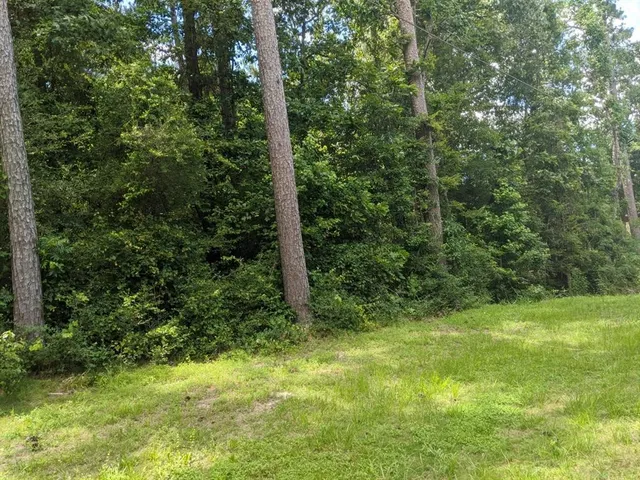 $25,226 | Lot 26 Elk Street, Onalaska, TX 77360