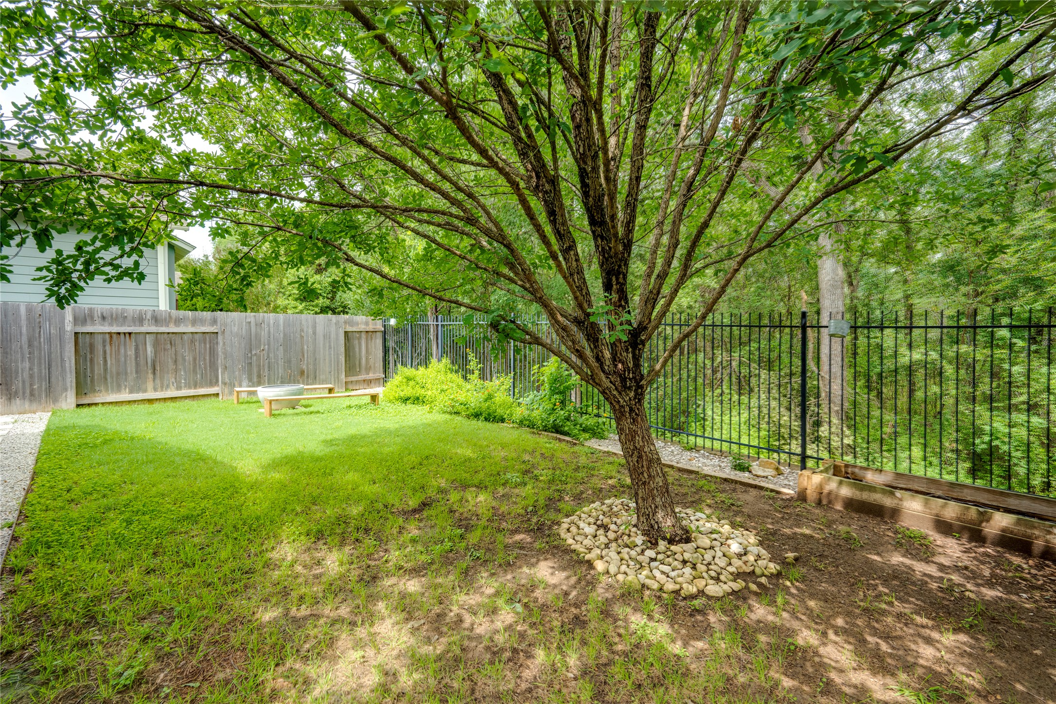 6008 Whipple Way Austin, TX 78745 - Photo 38 of 39 A verdant lawn creates a peaceful backyard retreat, bordered by mature trees and a sturdy fence.