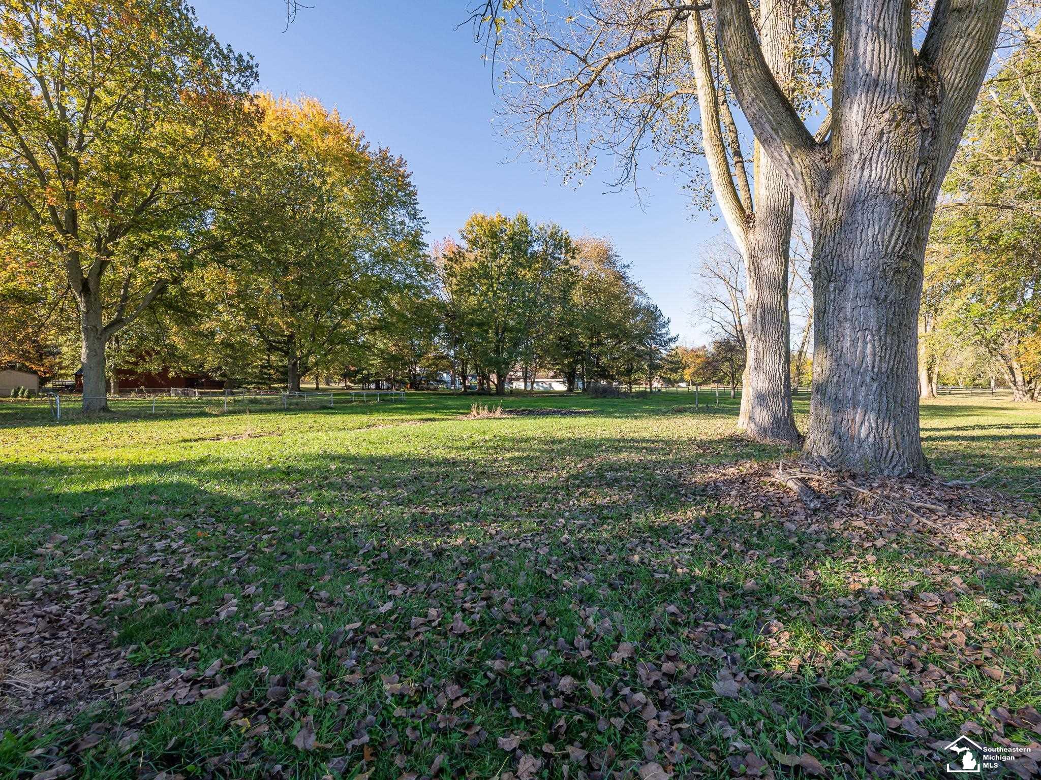 10711 Douglas Road Temperance, MI 48182 - Photo 41 of 41 50192182-9c874a68-6847-4cae-a8b1-bc531395d7b6.JPG