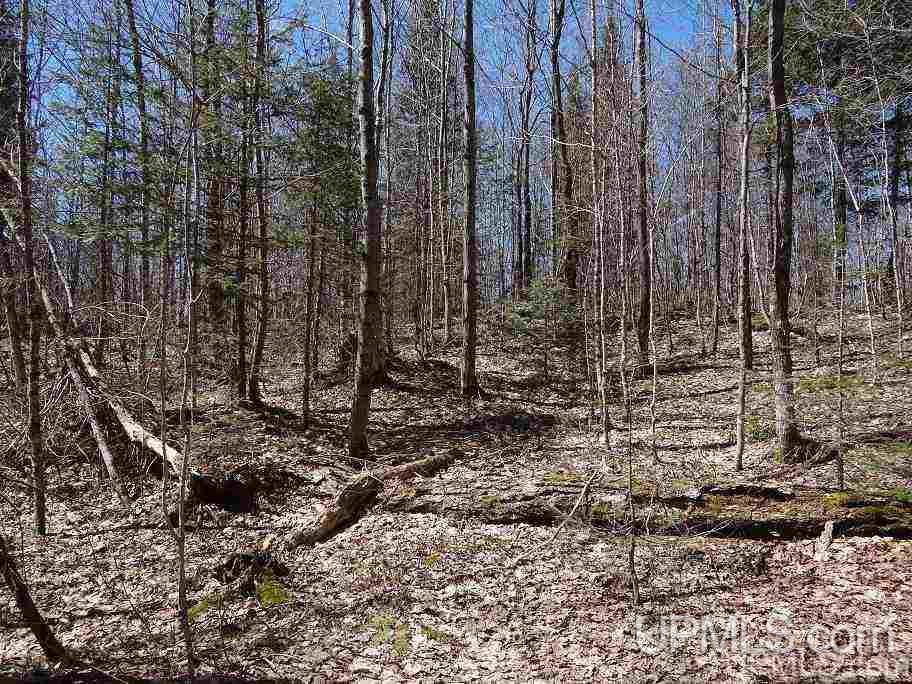 Tbd Celotex Road Michigamme, MI 49946 - Photo 12 of 25