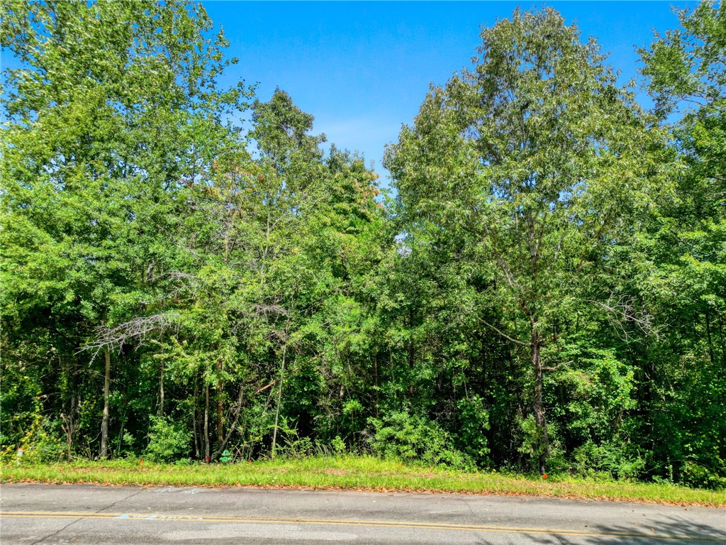 213 Castlebrook Drive Walhalla, SC 29691 - Photo 3 of 6