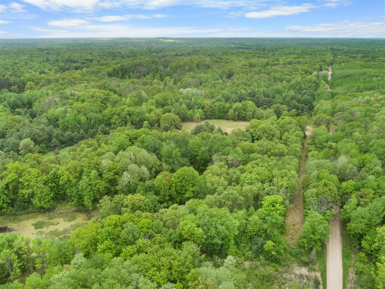 12 12 Mile Road Lakeview, MI 48850 - Photo 8 of 10