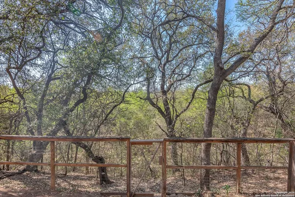 a view of deck with a large trees