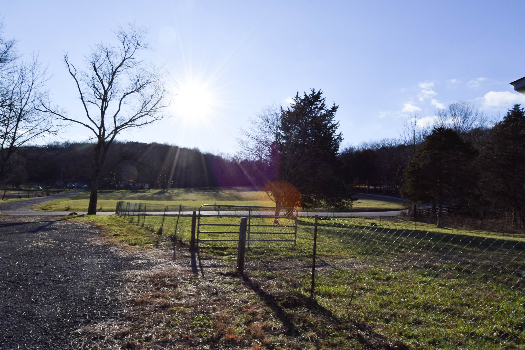 635 Celsor Road Hartsville, TN 37074 - Photo 5 of 44 a view of backyard with wooden fence
