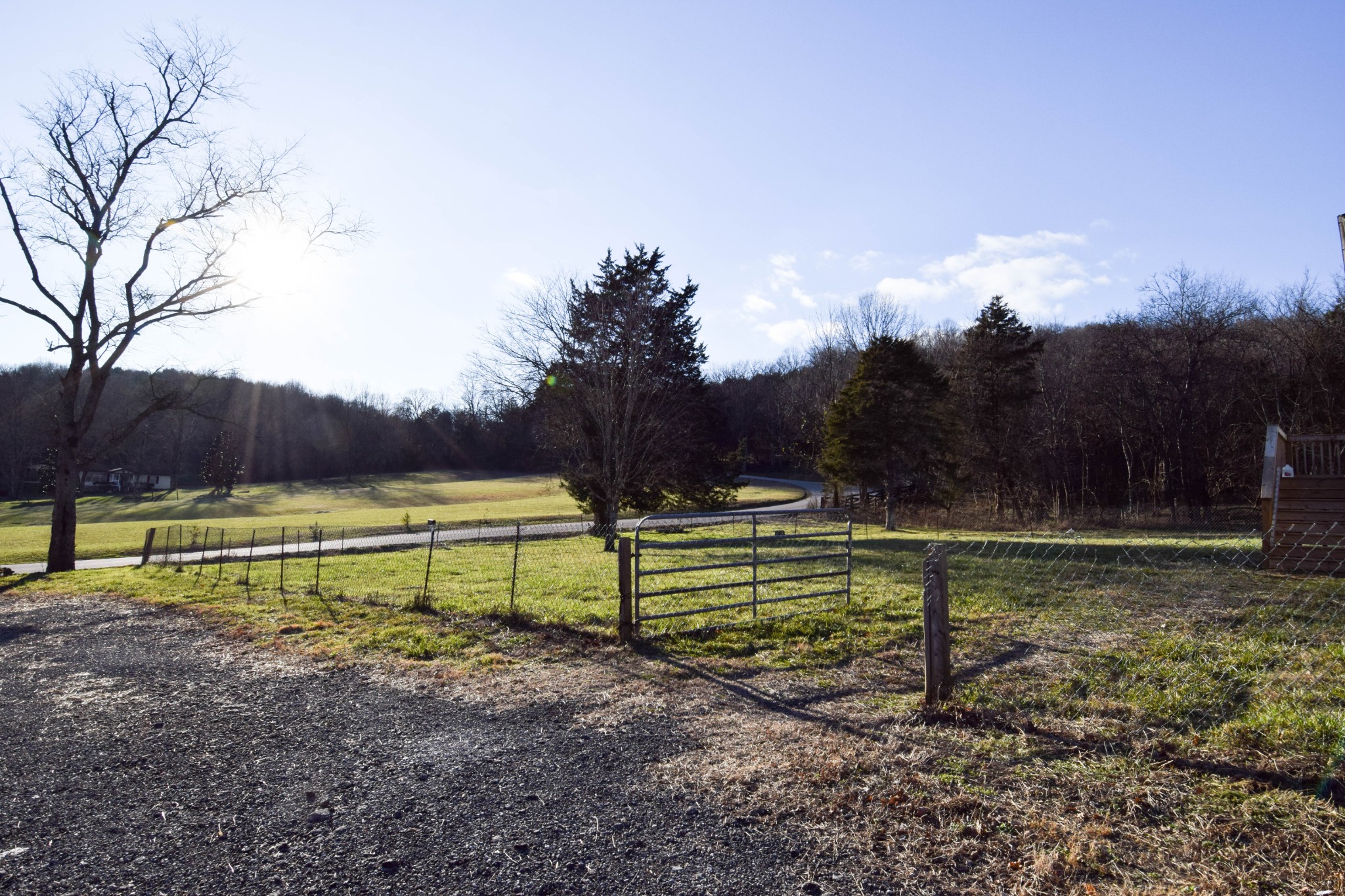 635 Celsor Road Hartsville, TN 37074 - Photo 7 of 44 a view of a park with large trees