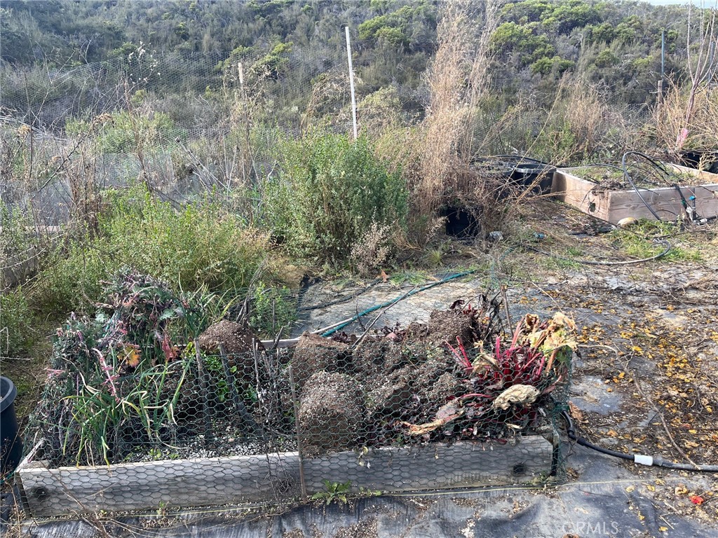 8445 Old Dirt Road Kelseyville, CA 95451 - Photo 2 of 8 a view of a yard with plants