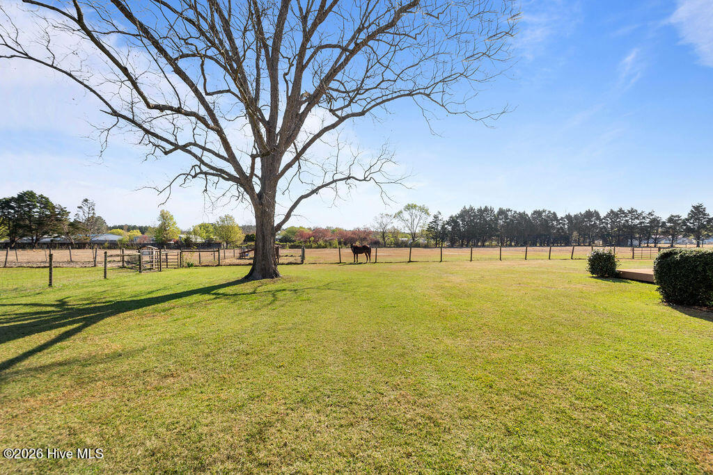 227 Wright Road Vass, NC 28394 - Photo 13 of 68 465A5562