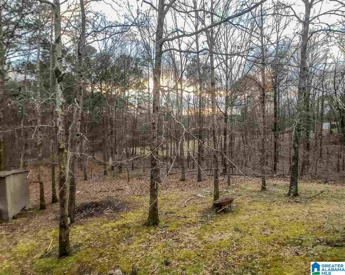 333 Cornelius Road Locust Fork, AL 35097 - Photo 9 of 18
