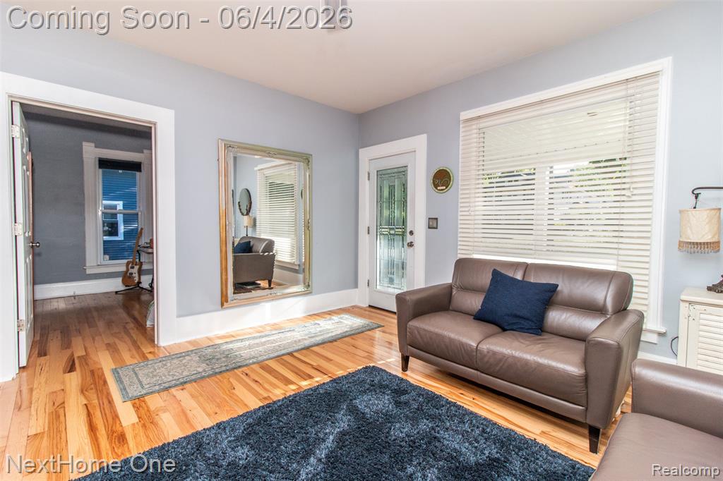 315 Jewett Street Howell, MI 48843 - Photo 4 of 24