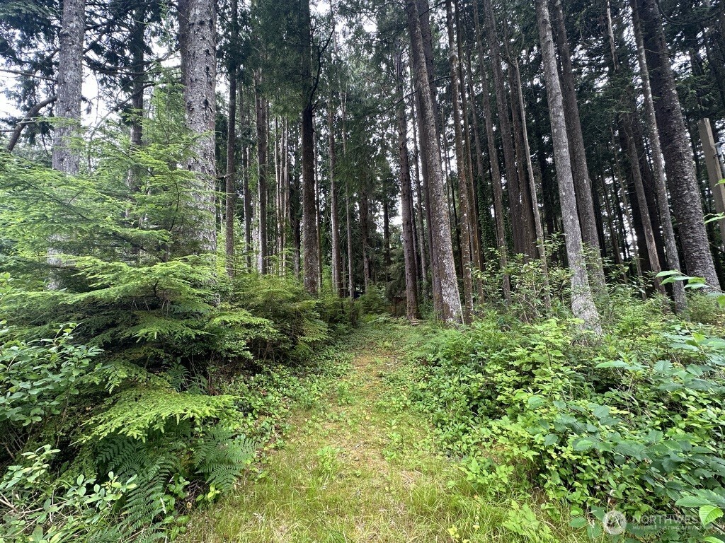 a plant of lots of green space