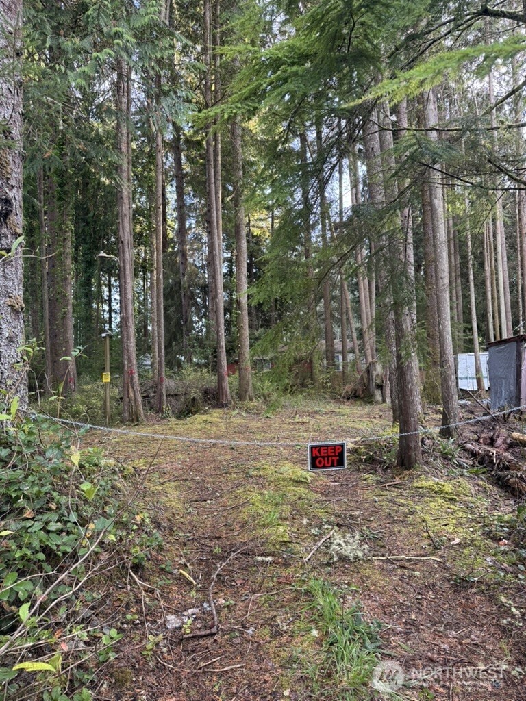 44 Robin Lane Pacific Beach, WA 98571 - Photo 8 of 9 a backyard of a house with trees