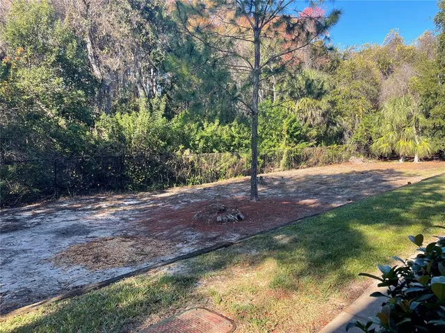 a view of a yard with a tree