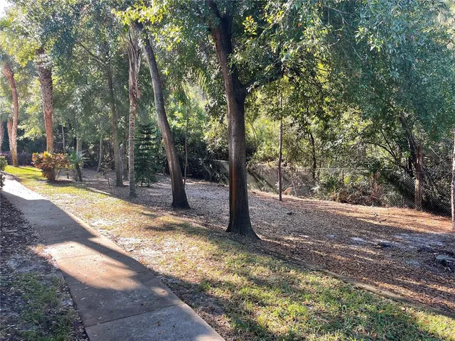 a view of a yard with trees