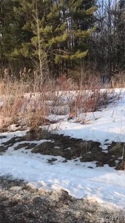 $54,999 | 0 Hulser Road, Deerfield, NY 13502