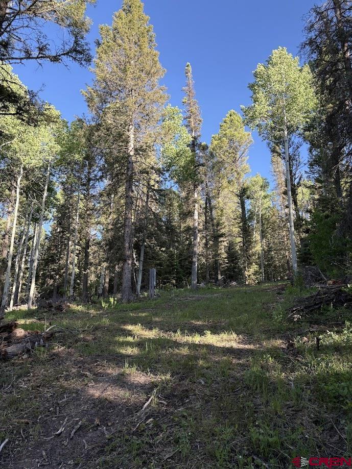 449 Ute Road Cimarron, CO 81220 - Photo 2 of 9 a view of a park