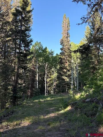 a view of a green field