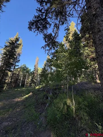 a view of a yard with a tree