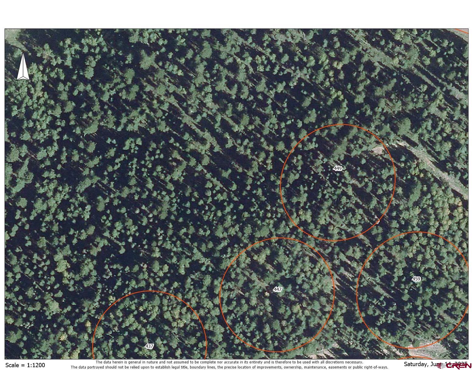 449 Ute Road Cimarron, CO 81220 - Photo 6 of 9 a view of a plant