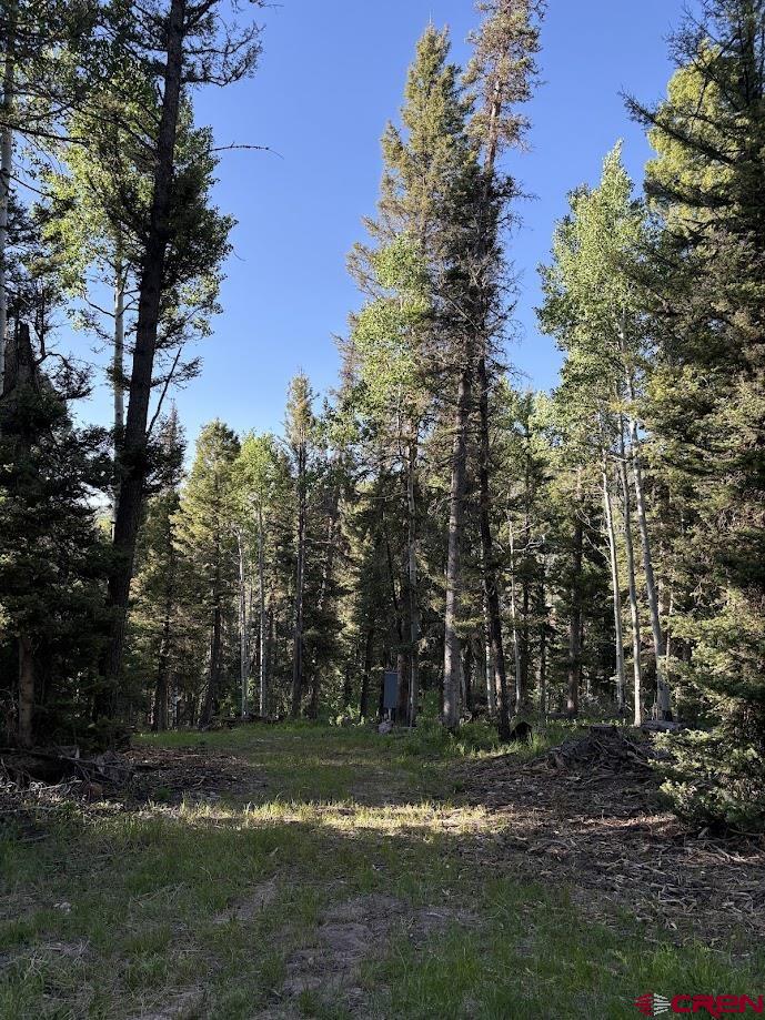 449 Ute Road Cimarron, CO 81220 - Photo 7 of 9